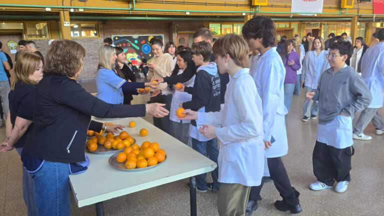 Consejo Escolar: ampliación del desayuno y merienda