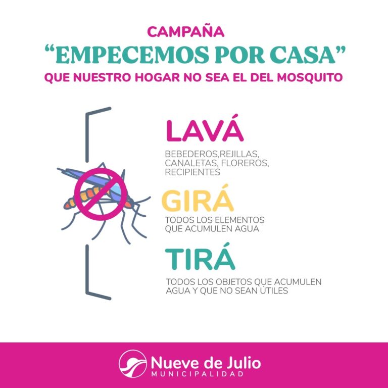 Dengue: aspectos a tener en cuenta para la prevención