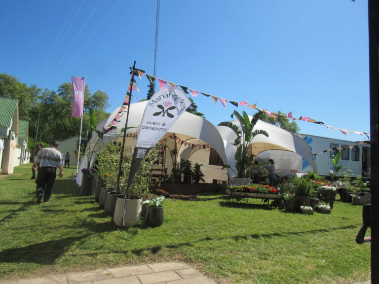 Este fin de semana se puede disfrutar de la Expo