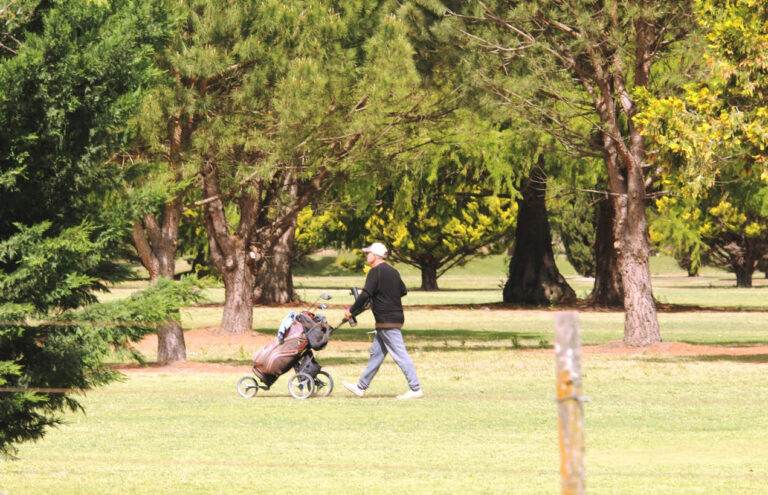 Torneo de Golf solidario para el sábado