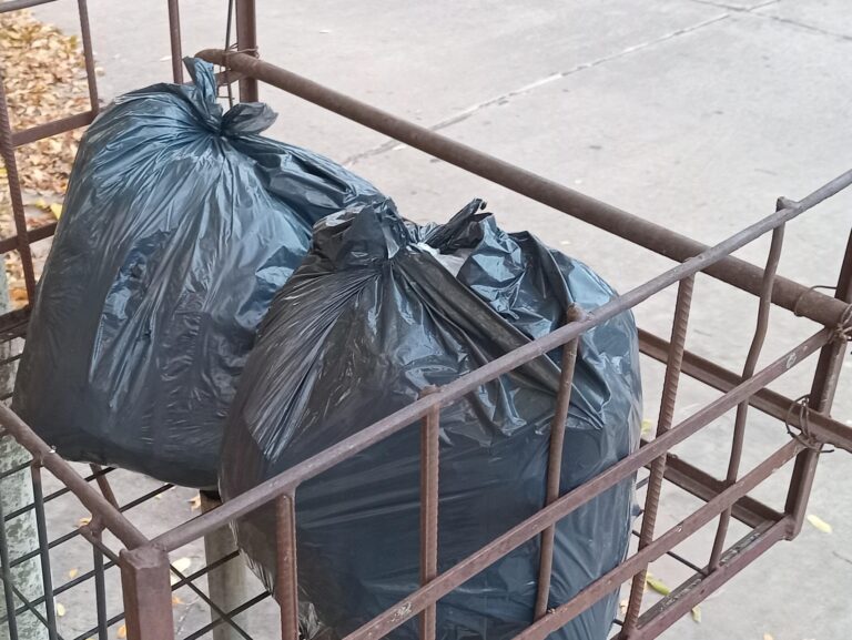 Paro: servicio reducido de recolección de residuos