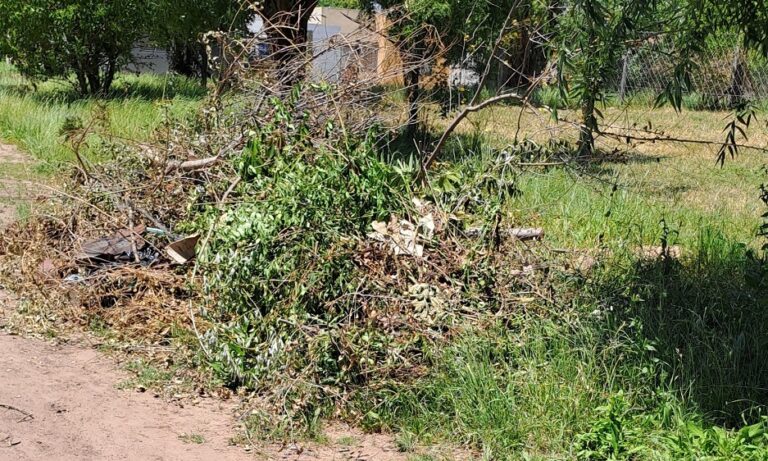 Loma de los Sauces: reclamo por limpieza