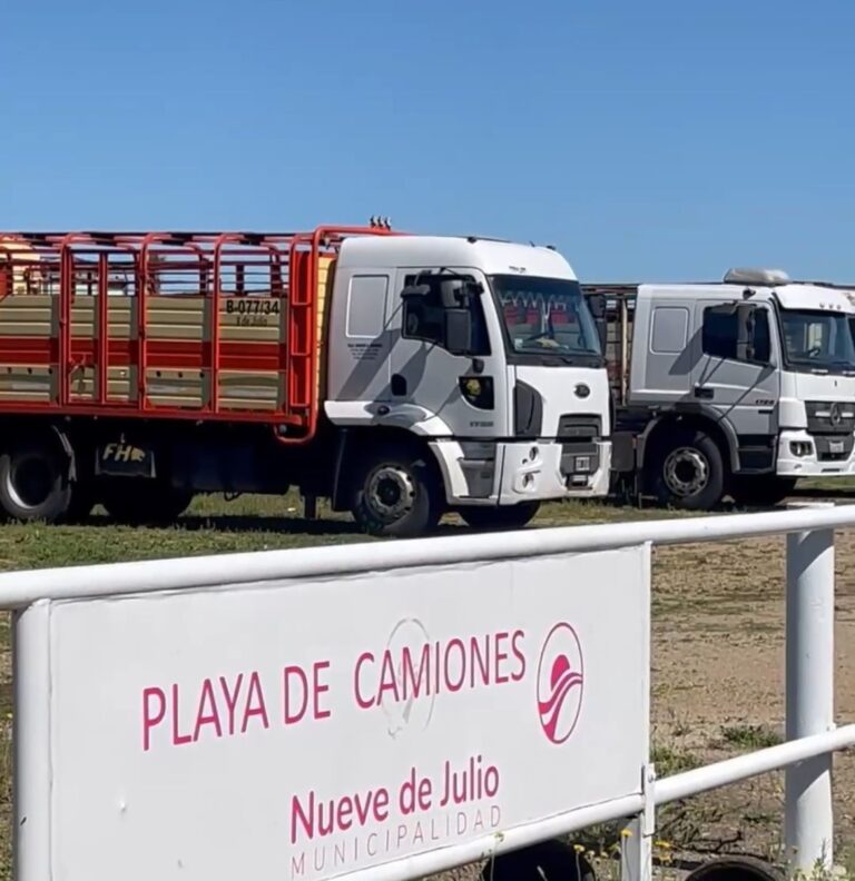 Nueva Playa de Camiones: aumento de la matrícula