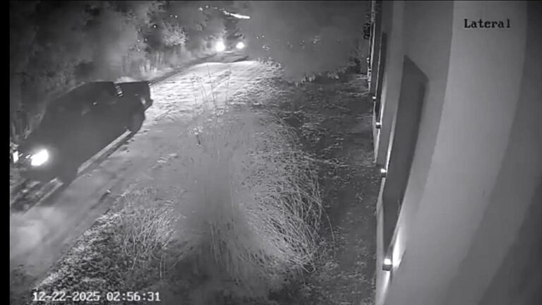 Discriminación: la violencia por la violencia misma