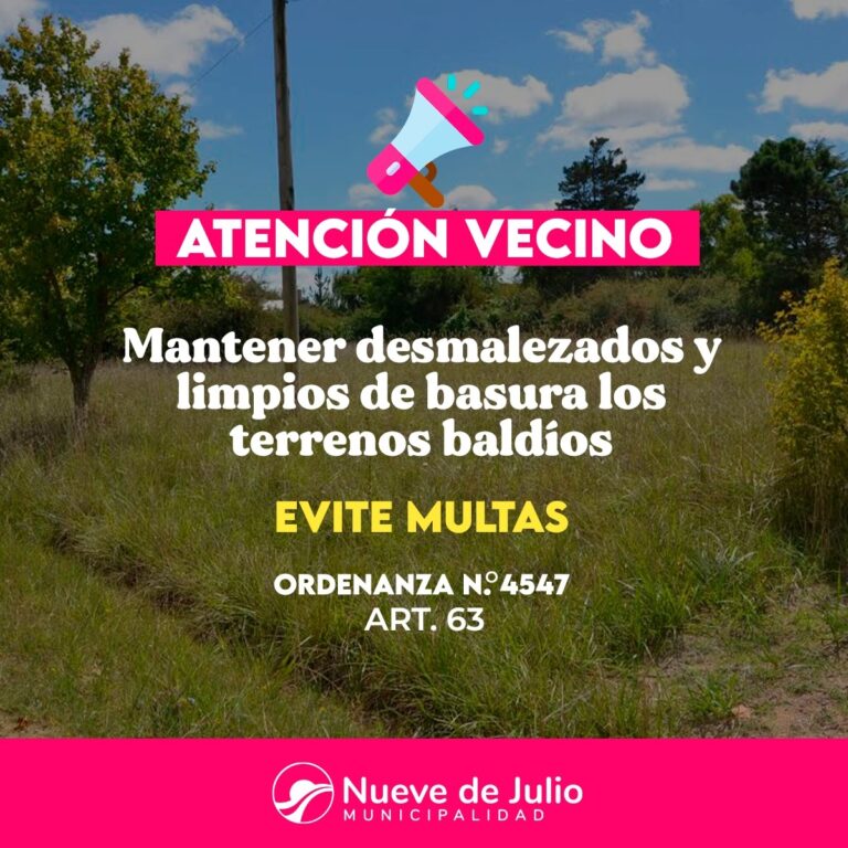 Terrenos baldíos: mantenerlos limpios