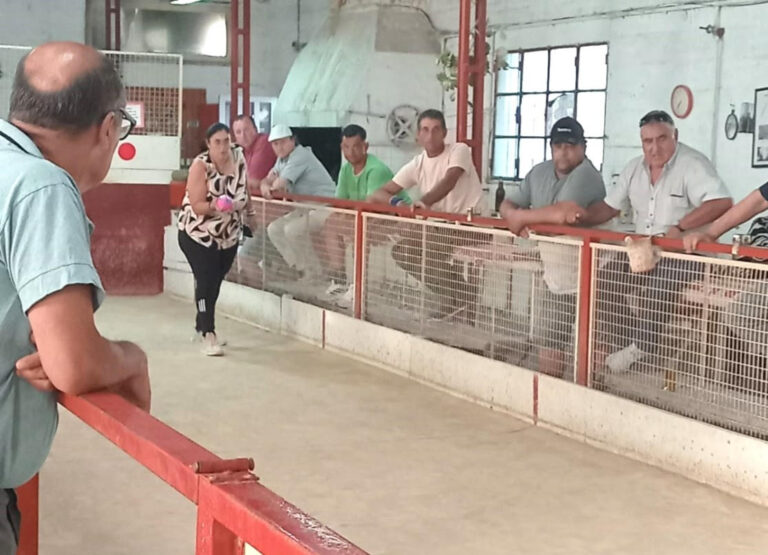 Bochas en Atlético 9 de Julio: con 31 jugadores