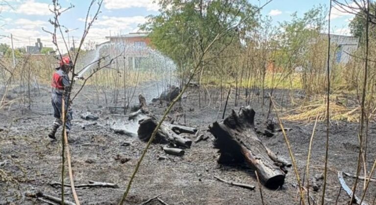 Bomberos respondieron ante los incendios