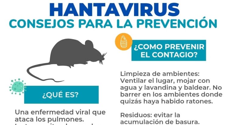 Hantavirus: prevención ante casos en la Región