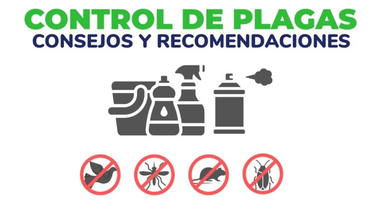 Cómo prevenir la aparición de plagas urbanas