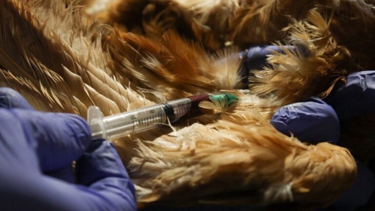 Actualización de acreditaciones para veterinarios, técnicos y privados