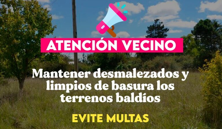 Terrenos baldíos: obligatoriedad de limpieza