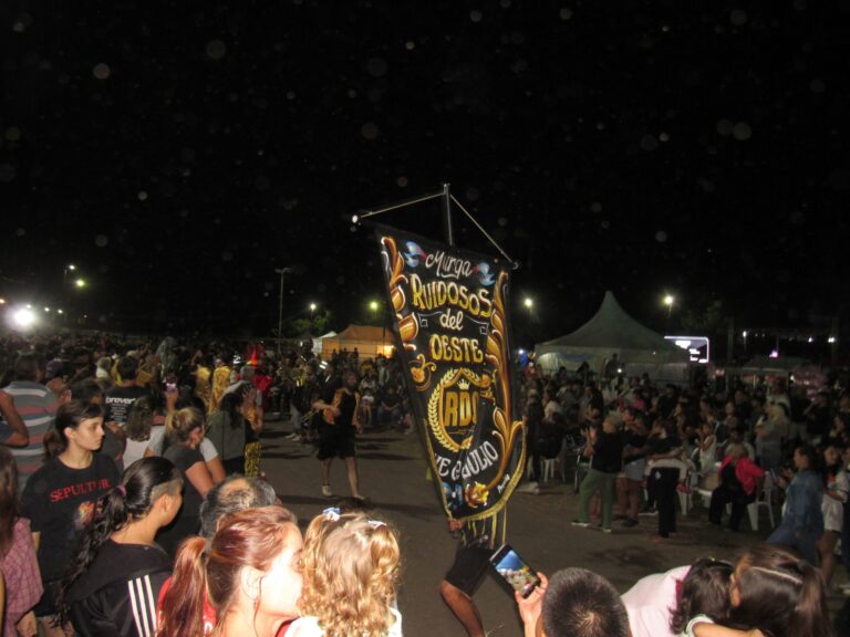 El Carnaval de 9 de Julio convocó mucho público