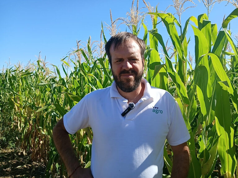 Jornada a campo: materiales de ciclo corto para maíz