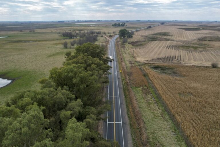 Ruta 65: convocan a productores para sembrar banquinas