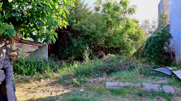 Reclamo por terreno abandonado