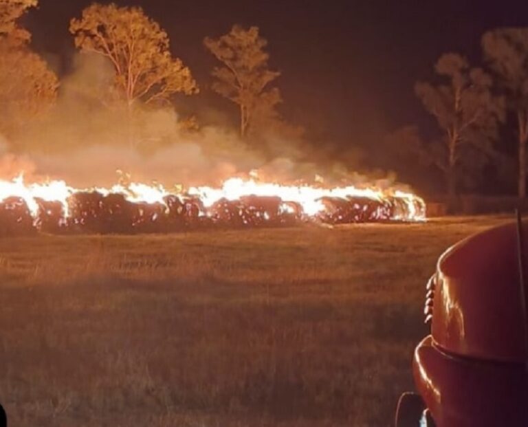 Incendios: servicios prestados por Bomberos