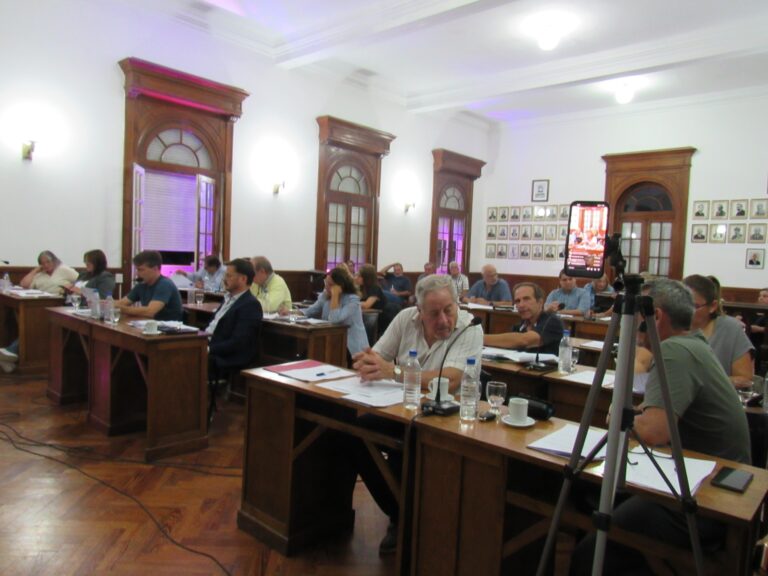 El Concejo Deliberante trató 30 expedientes en más de tres horas de sesión