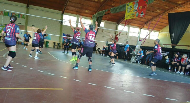 Newcom: se reinicia la actividad oficial