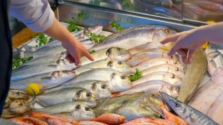 Recomendaciones para un consumo de pescados