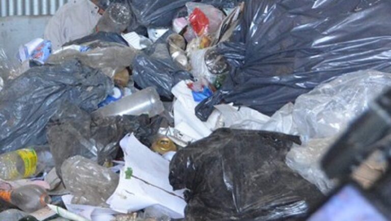 Reciclables Zona 2: demoras en la recolección