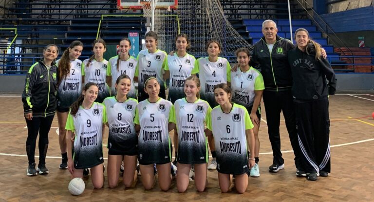 Provincial de Cestoball: el CEF de 9 de Julio jugó en Bolívar