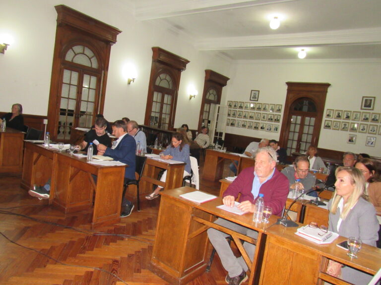 El Concejo Deliberante trató 38 expedientes