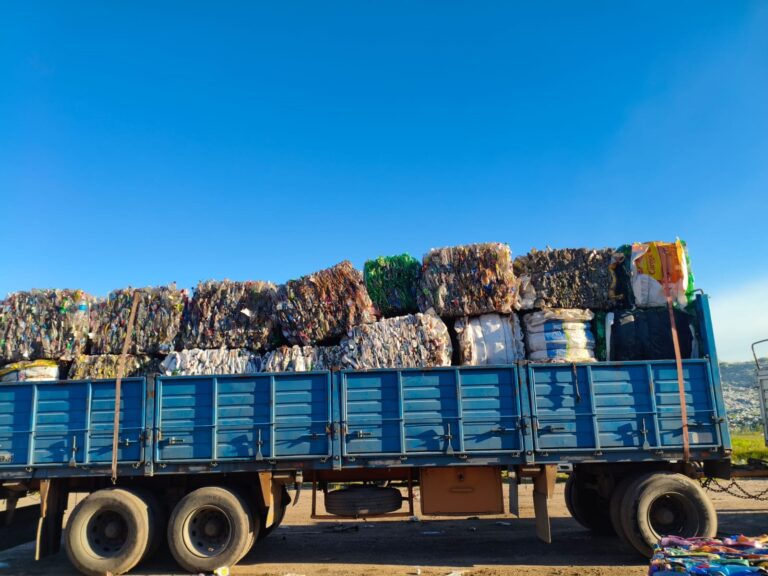 Reciclables recuperados: la correcta separación es la clave