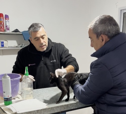 Albergue Canino y Zoonosis: asumió Leonardo Andrés Alvarez