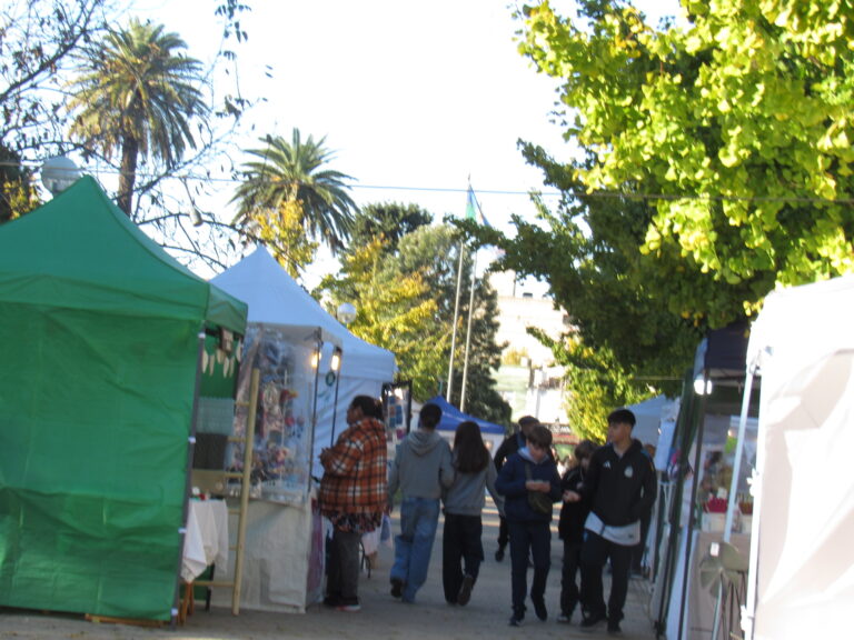 Artesanos y Emprendedores de Feria, en el mes de mayo