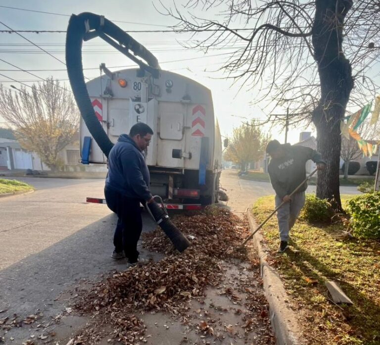 Barrido y recolección de hojas