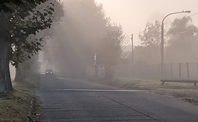 Clima: niebla y helada, en 9 de Julio