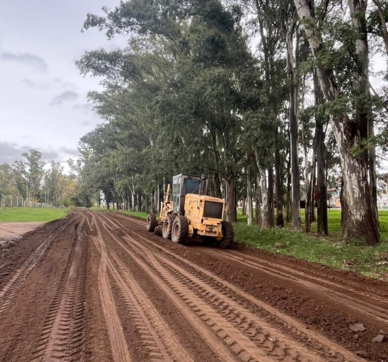 Colectora de Ruta 5: acondicionamiento y nivelación