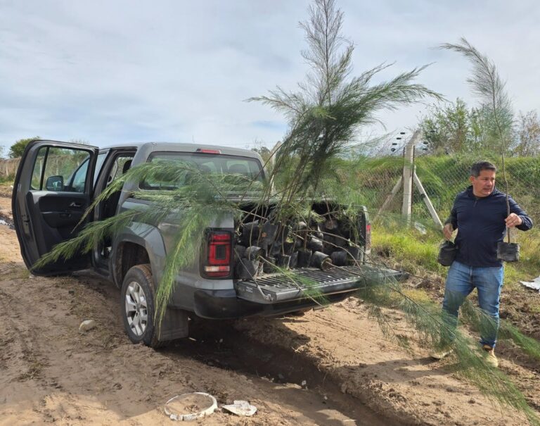 Plantaron 220 casuarinas, continúa el Plan de Forestación de Esteban “Tete” Naudín
