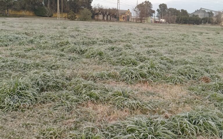 Otro día bajo cero en 9 de Julio: también el sábado