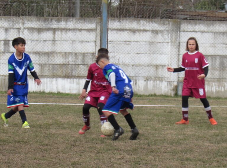 Divisiones Inferiores: empezó el Torneo Clausura