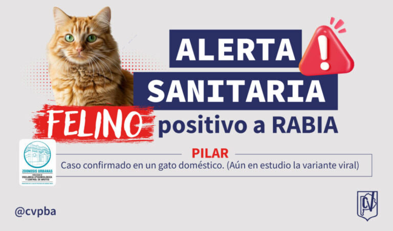 Confirman un caso positivo de rabia en un felino en el partido de Pilar