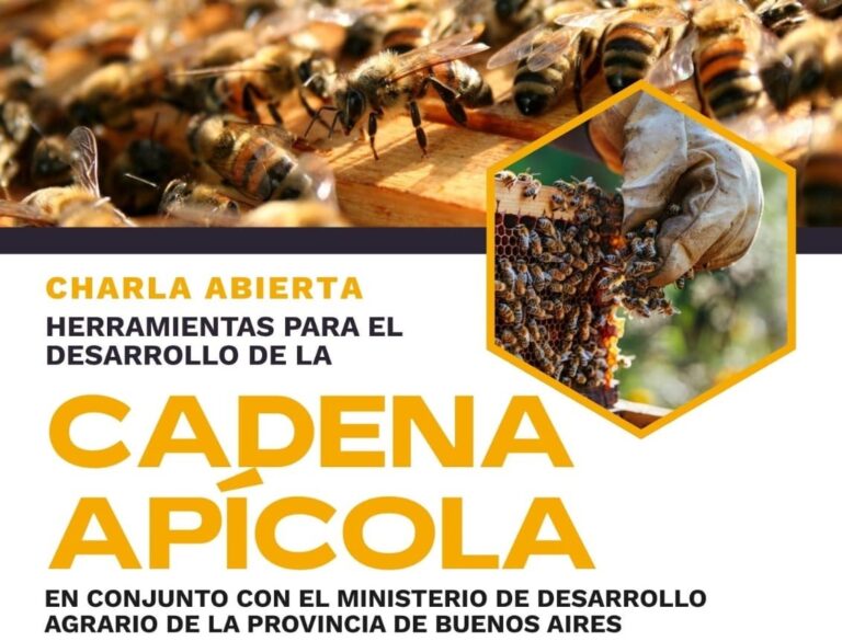 Apicultura: charla abierta sobre herramientas para el desarrollo