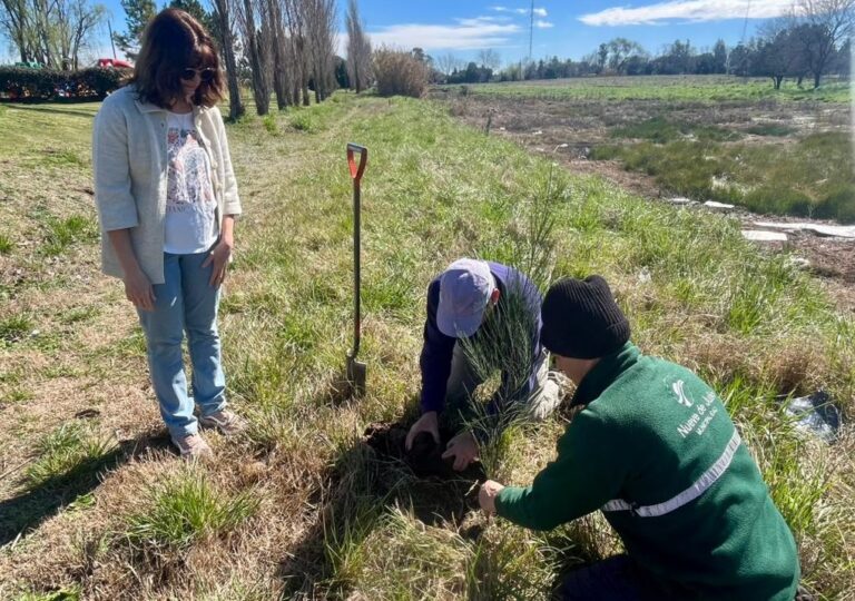 Día del Árbol: aporte del Rotary Club a la comunidad