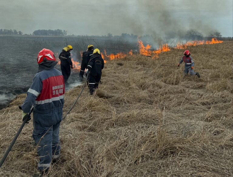 Bomberos controlaron incendios en zona rural y la ciudad