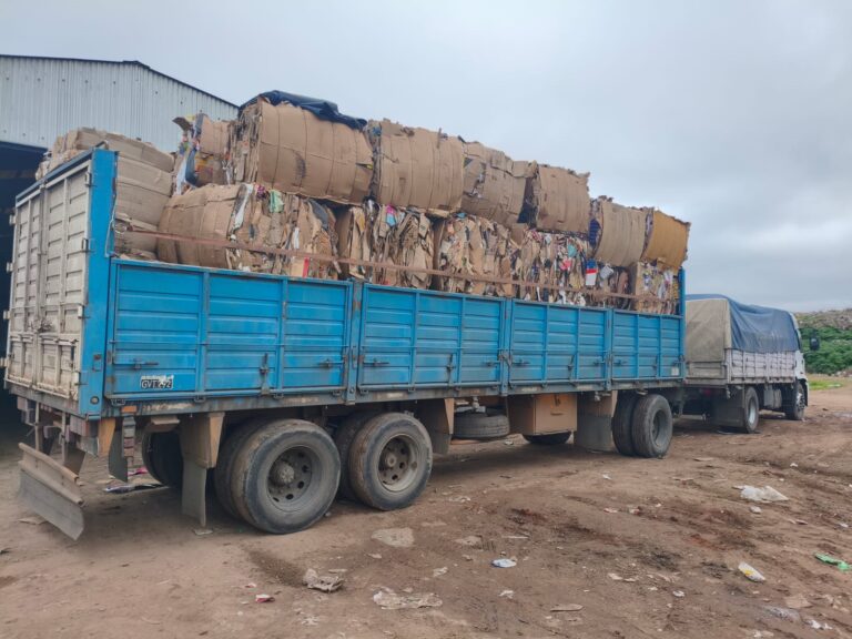 Reciclados: cartón y tetra por más de 15 mil kilos
