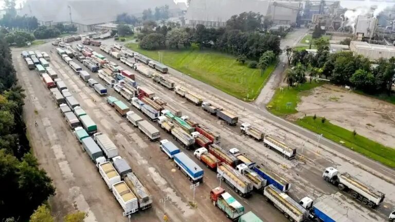 Las exportaciones marcaron un récord, pero la cosecha sigue superando a las ventas